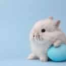 pastor appreciation gift