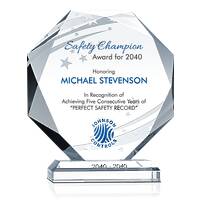 Safety Champion Award for 2013