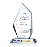 Excellence Award for 2017