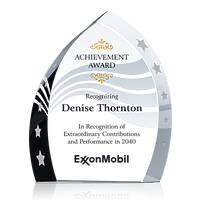 Performance Achievement Award