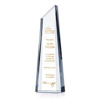 University Alumni Achievement Award