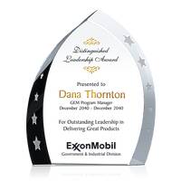 Distinguished Leadership Award