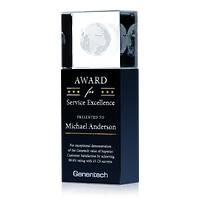 Customer Service Excellence Award