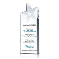 Star MVP Employee Award