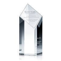 Customer Service Performance Award