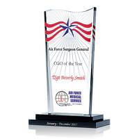 Air Force CGO of the Year Award