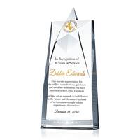 20 Year Public Service Recognition Award