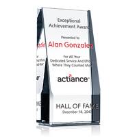 Wedge Exceptional Achievement Award