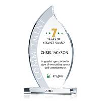 Outstanding Commitment Award