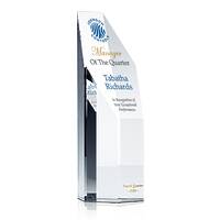 Trophies for Top Manager