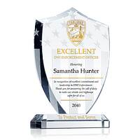 DWI Enforcement Officer Award