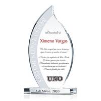 Premio Para El Supervisor del Año