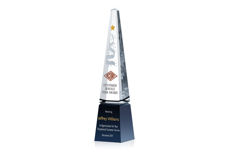 Customer Service Star Award Sample
