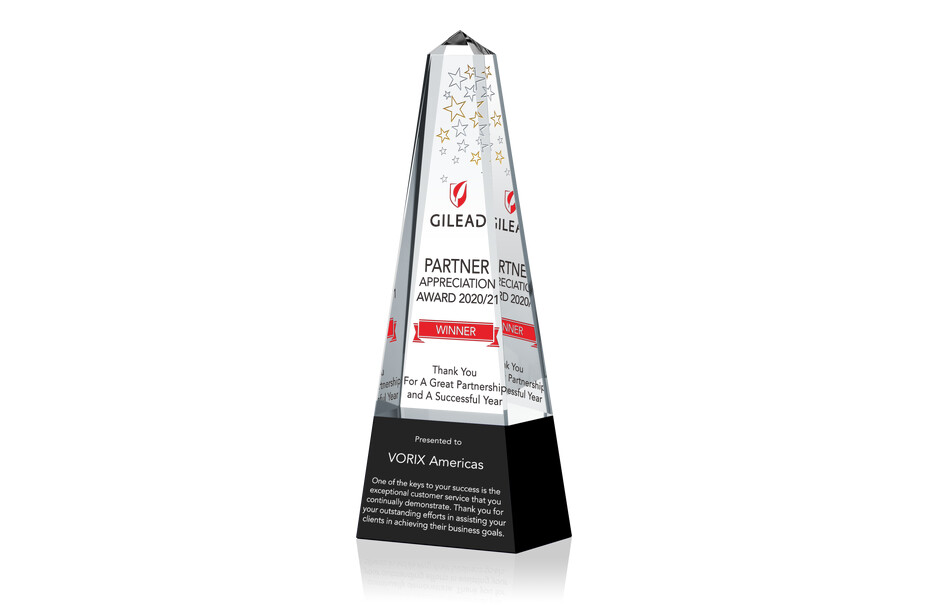 Custom Crystal Corporate Partnership Award Trophy