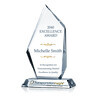 Performance Excellence Award