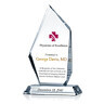 Physician of Excellence Award