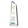 Sales Leadership Award Ideas