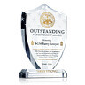 Army Outstanding Achievement Award