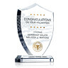 Army Promotion Recognition Award