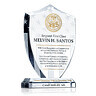 Army Sergeant Recognition Award