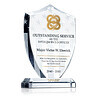 Army Officer Recognition Award