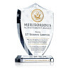 Navy Achievement Recognition Gift