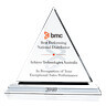 Best Distributor Award Sample Ideas