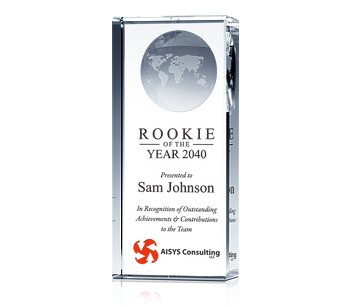 Rookie of the Year Award 2013