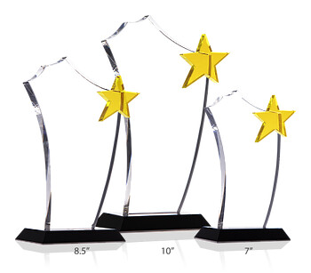 Gold Star Recognition Awards