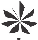 USAF Commissioned Officers Ranks for Crystal Etching & Colorfill